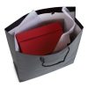 Large portrait black luxury paper gift bag with black rope handles holding a red shoe box.