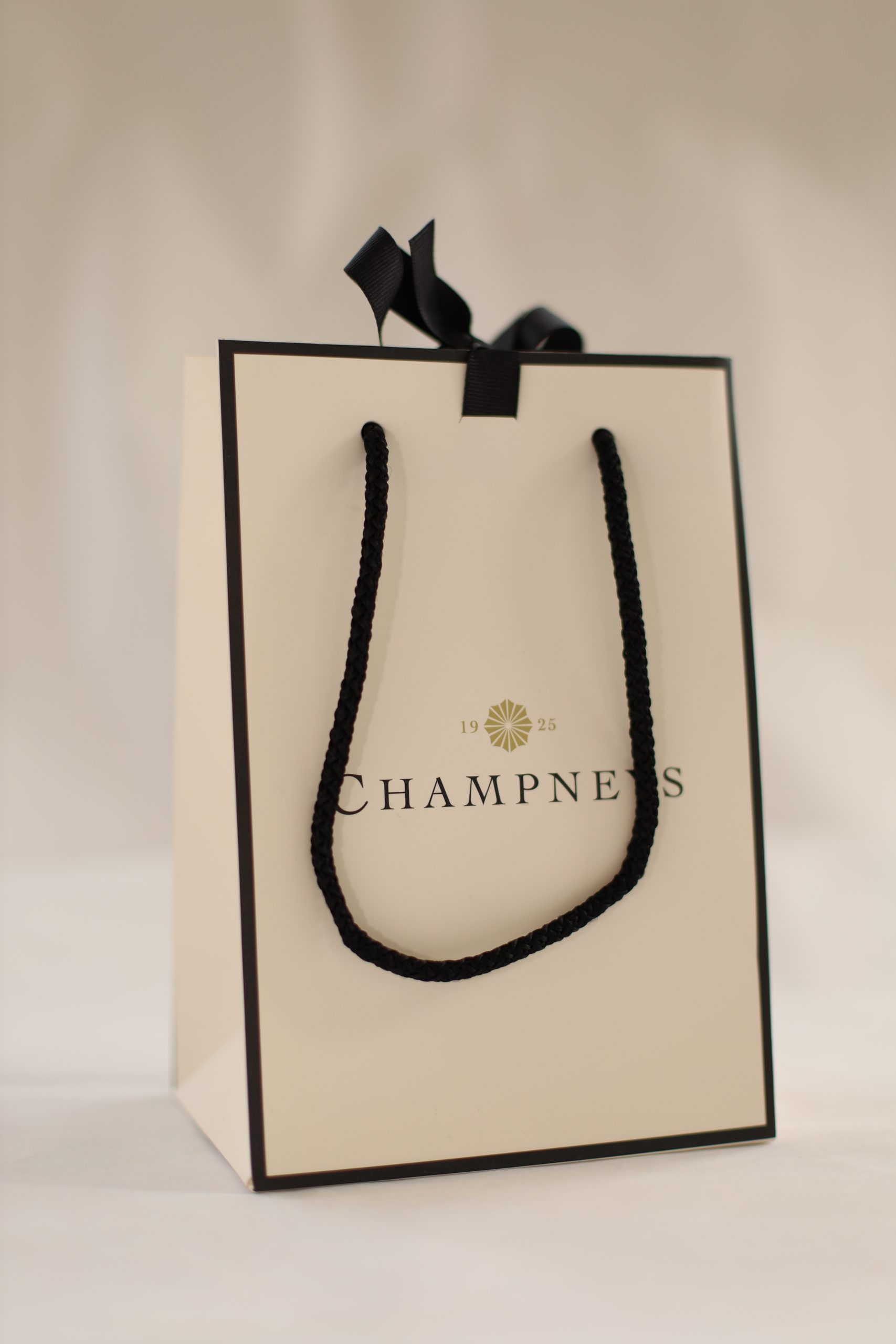 Luxury branded paper bag with black rope handles and ribbon detail