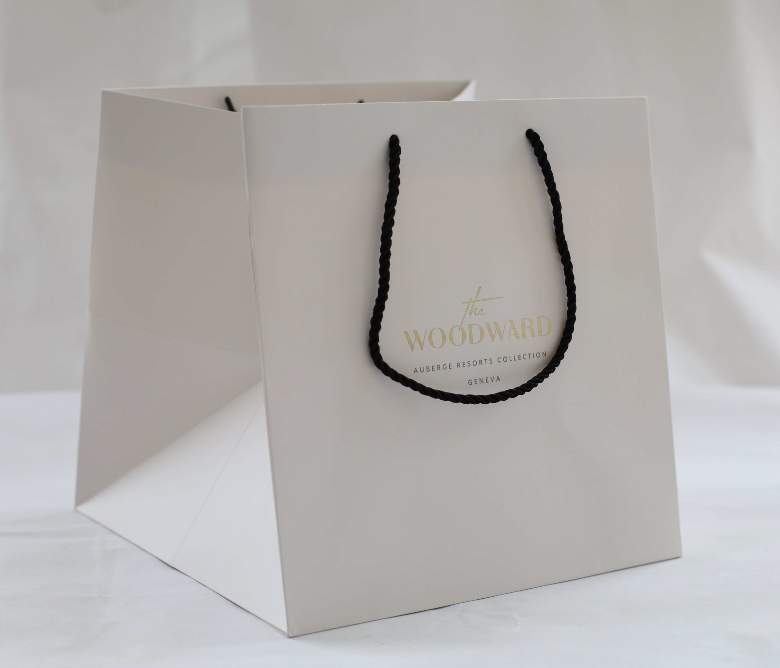 Luxury branded paper bag with ribbon handles for fashion retail