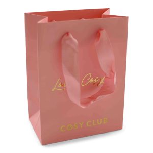 Luxury branded paper bag with ribbon handles for gifting and boutiques